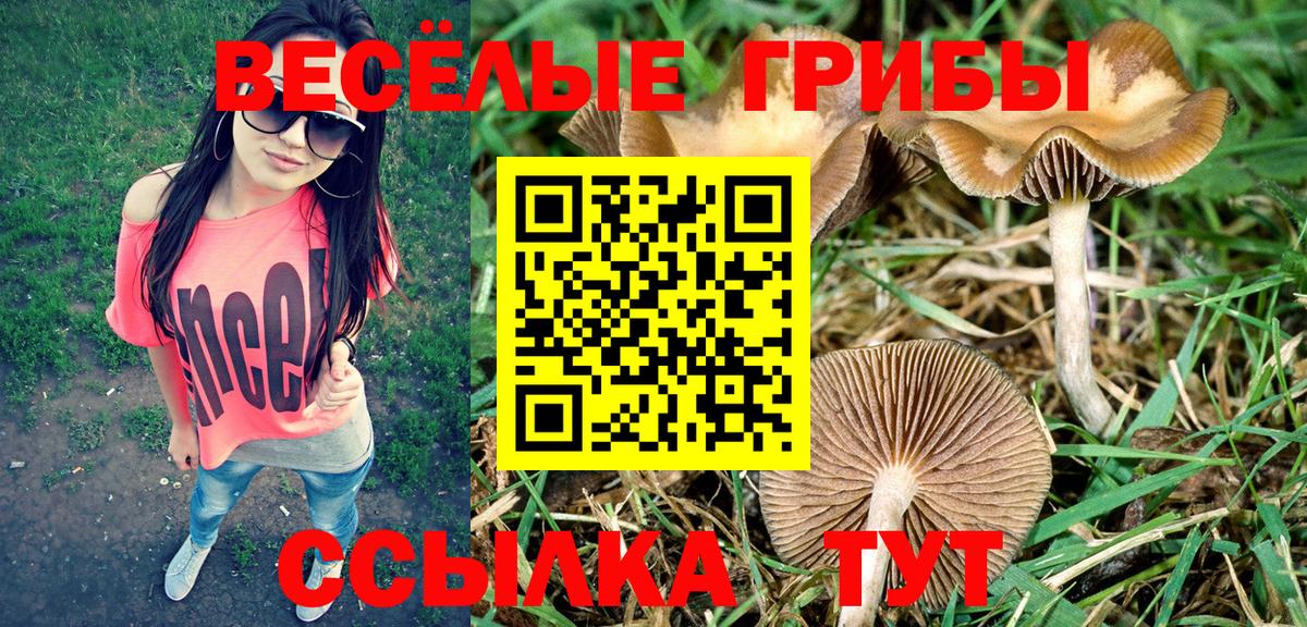 Псилоцибиновые грибы ЛСД Валуйки