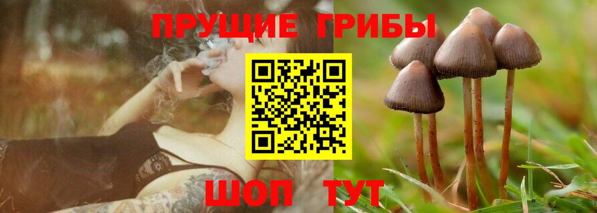 купить   Псилоцибиновые грибы мухоморы  Псилоцибиновые грибы мухоморы  Вход с VPN  Валуйки 